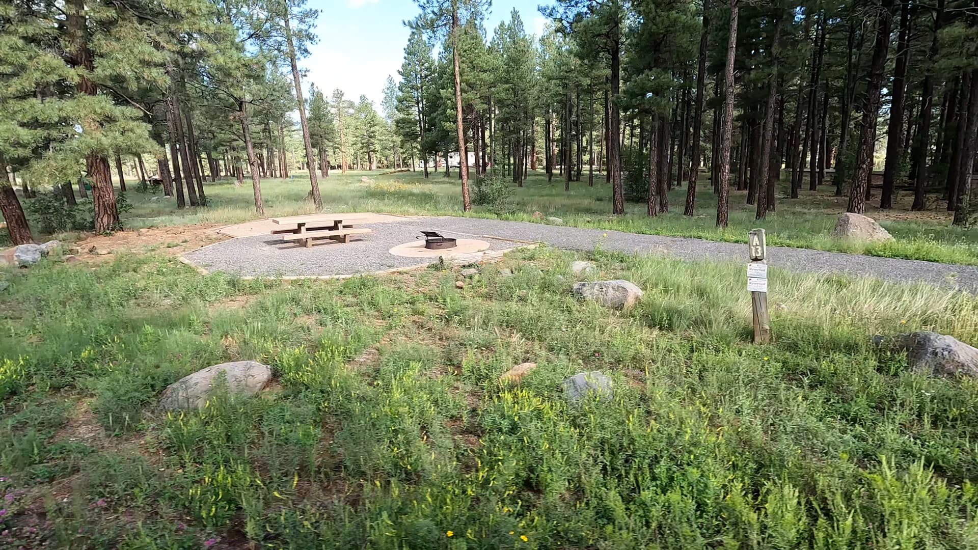 Site 13