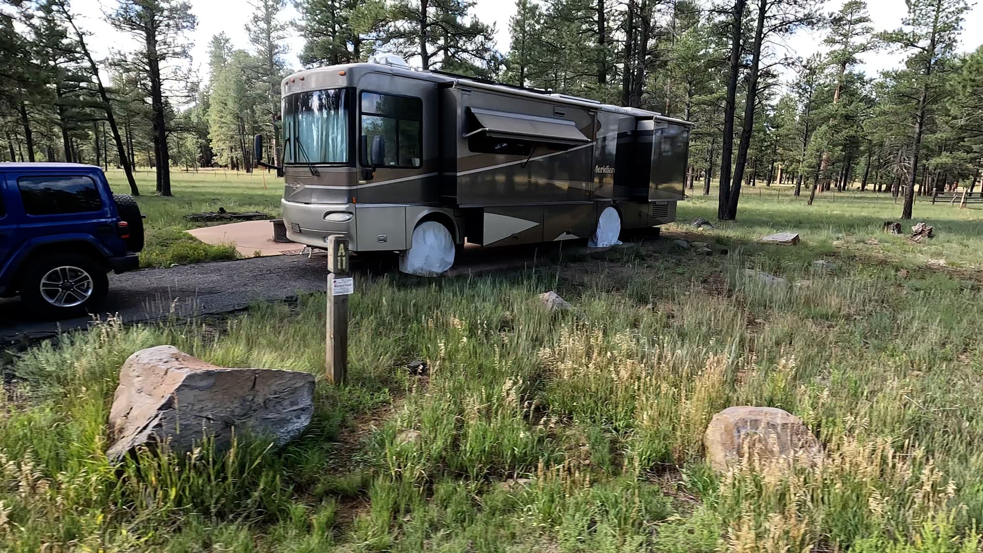 Site 11