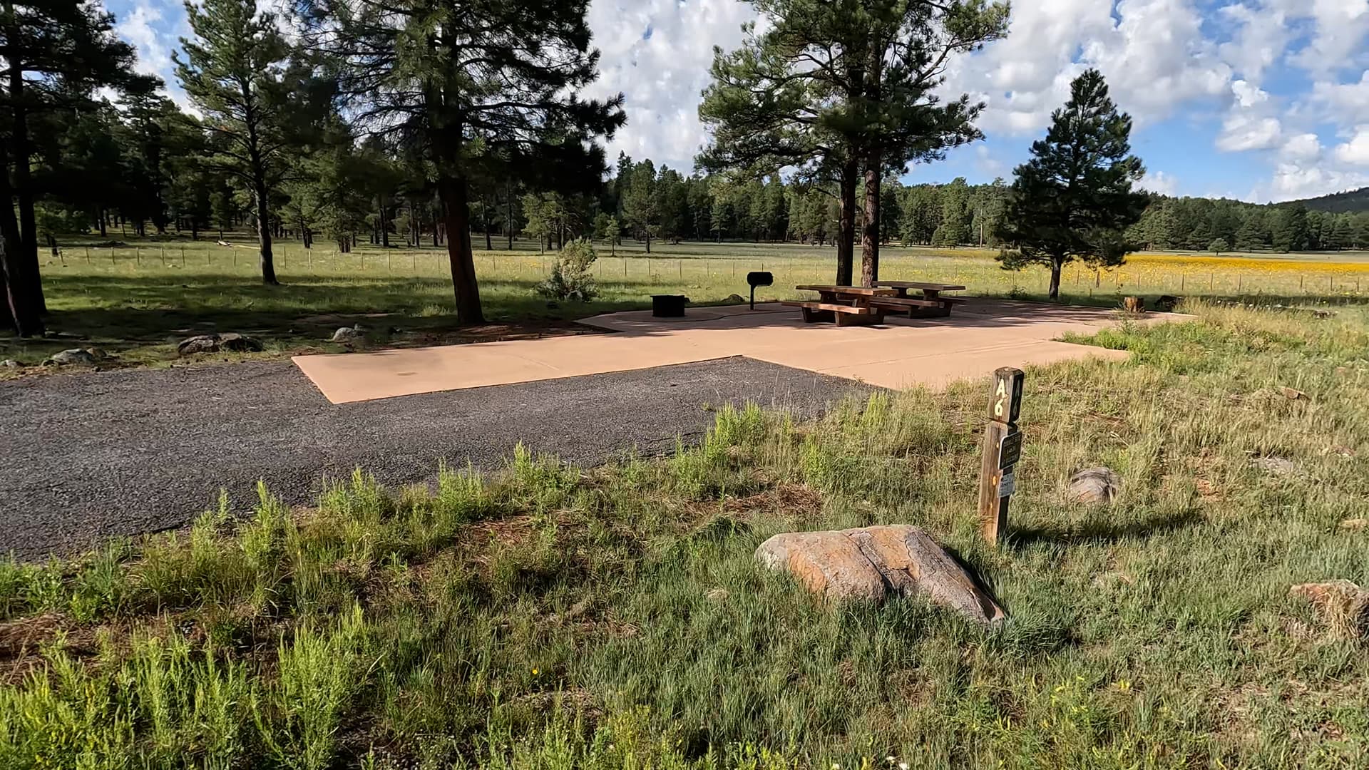 Site 6