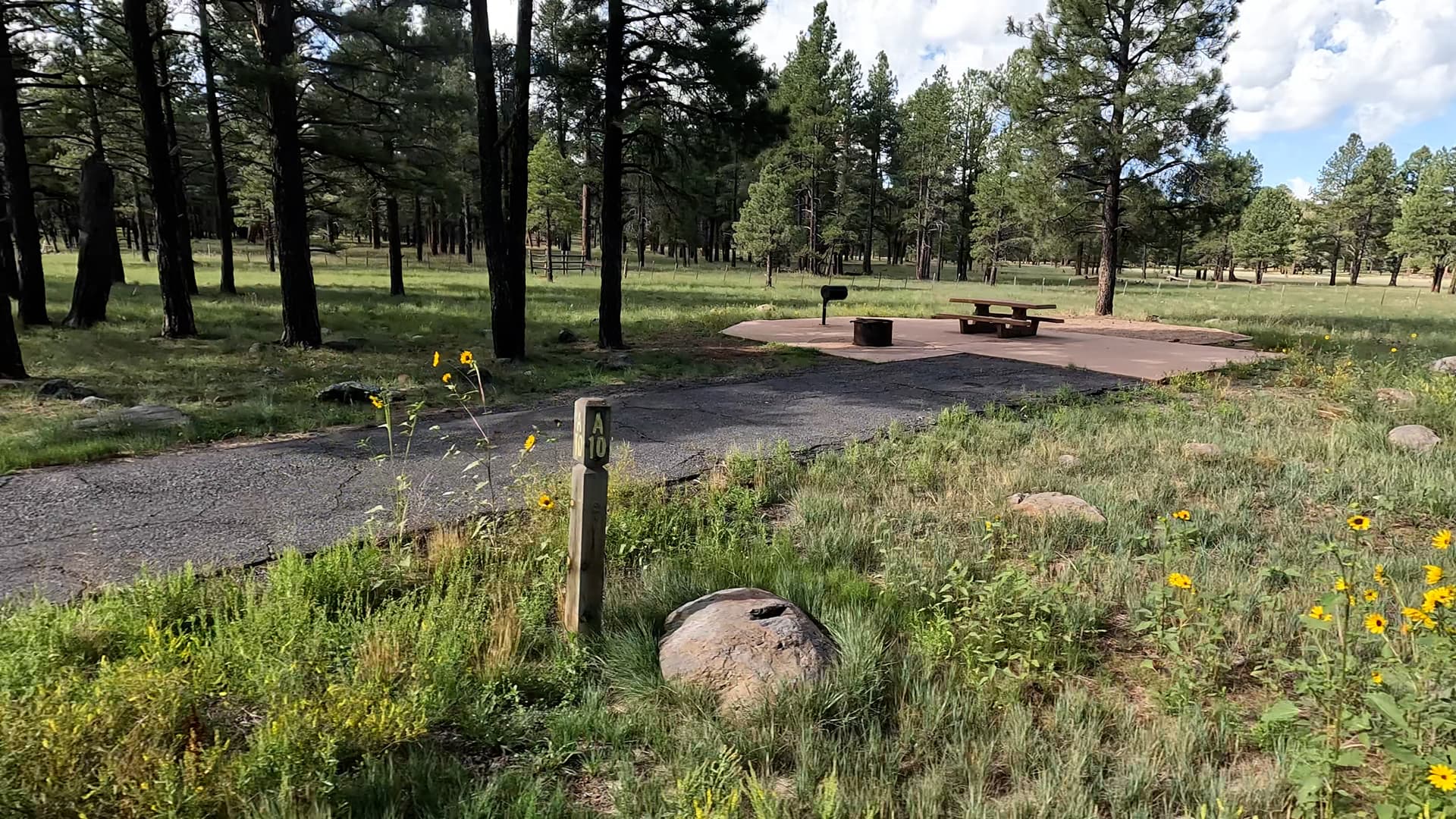 Site 10