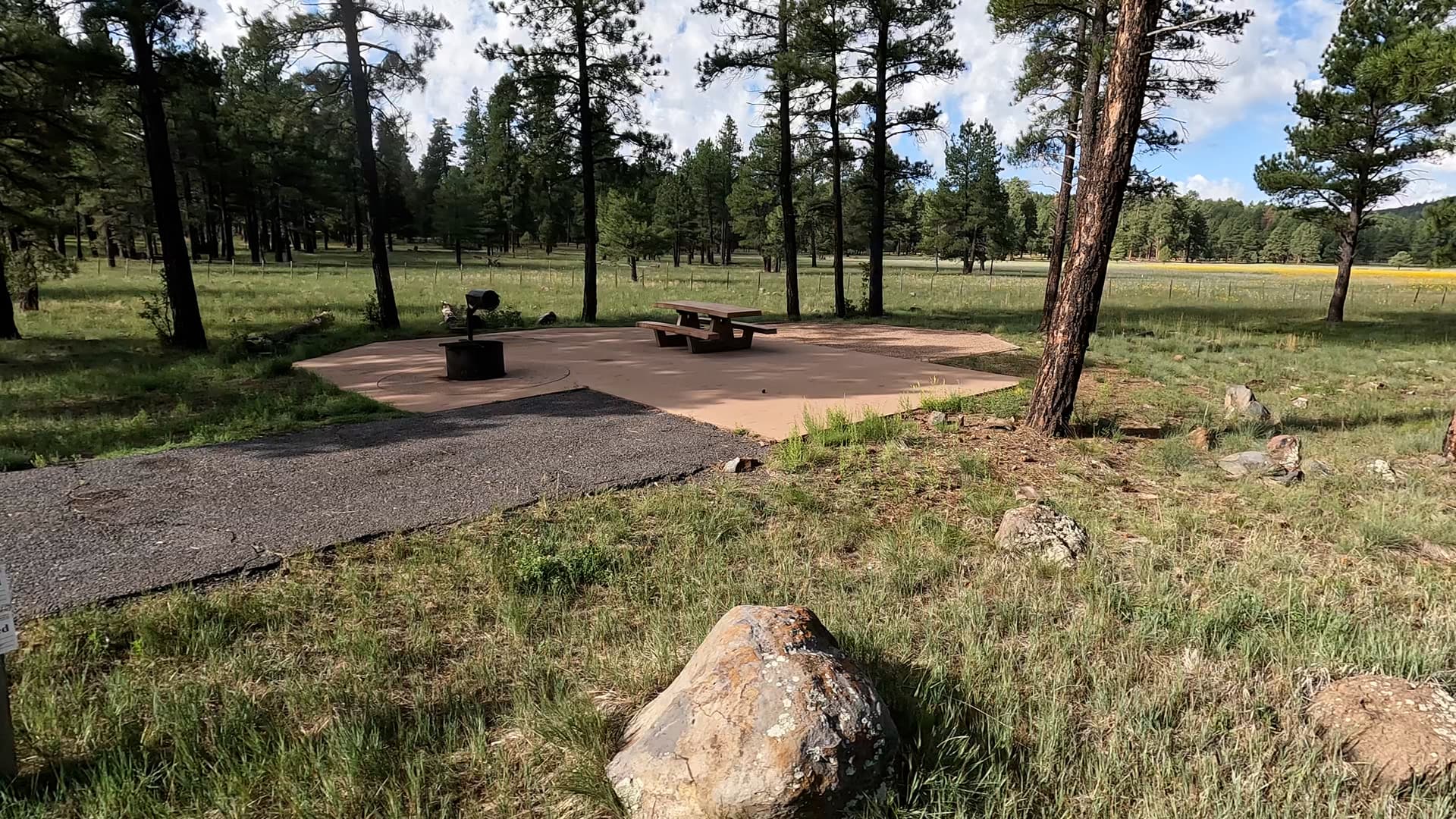 Site 8