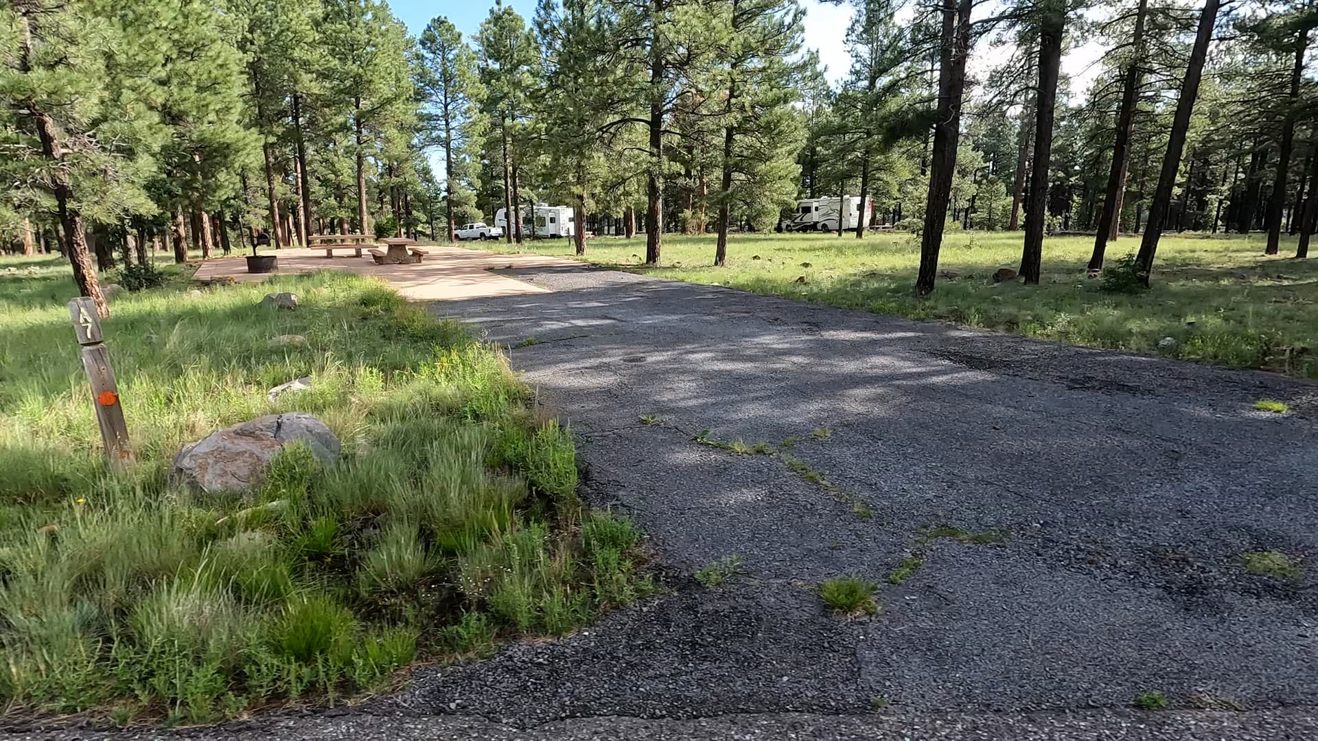 Site 7