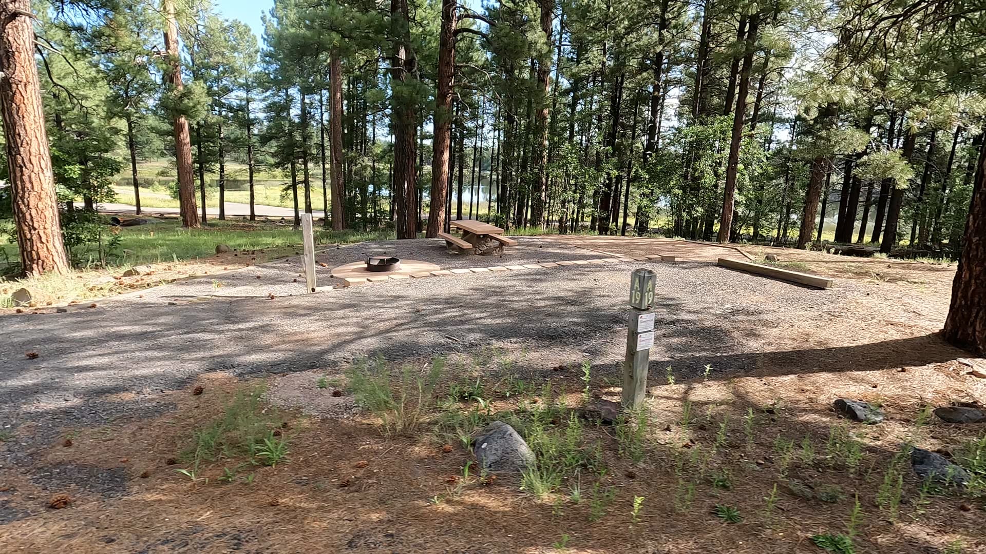 Site 19