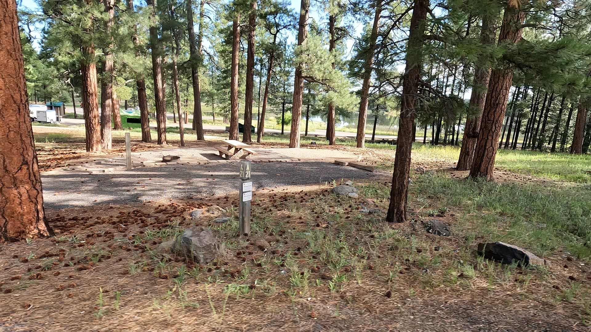 Site 21