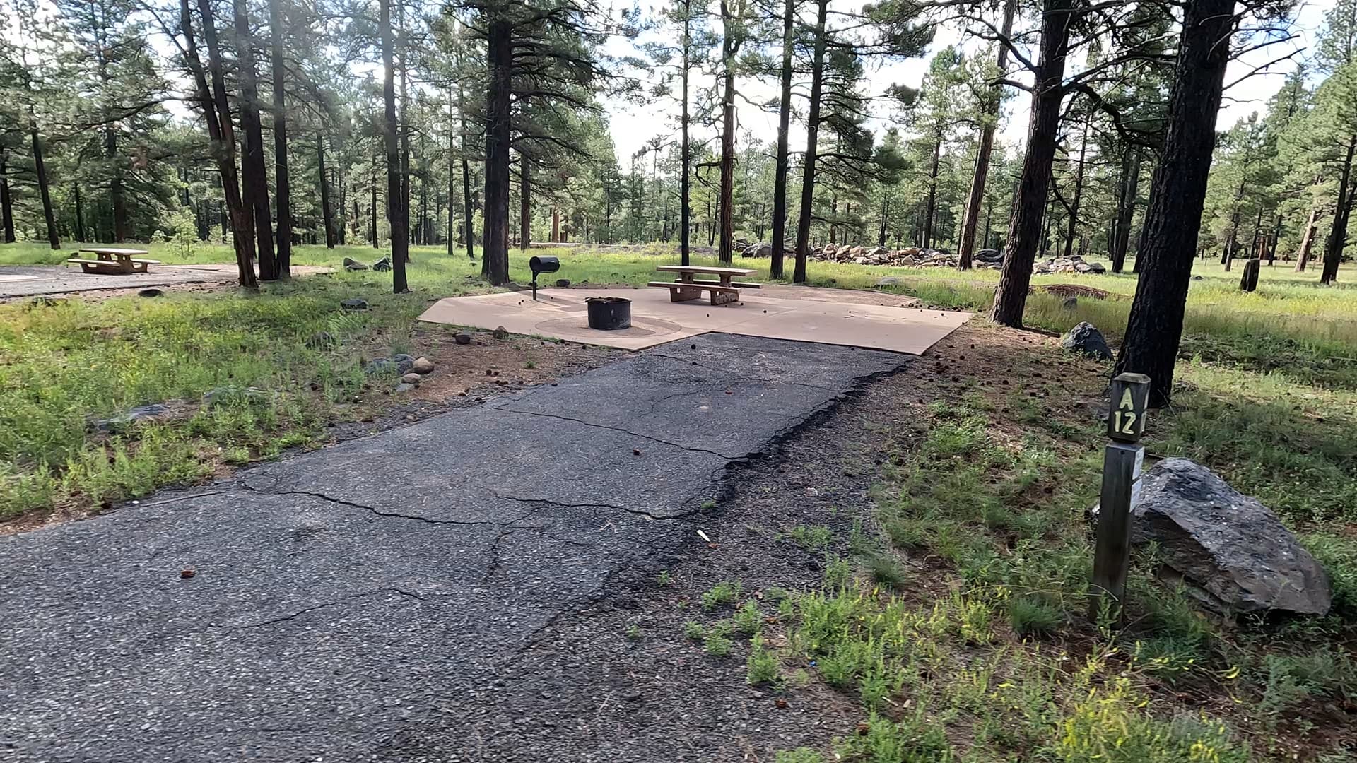 Site 12