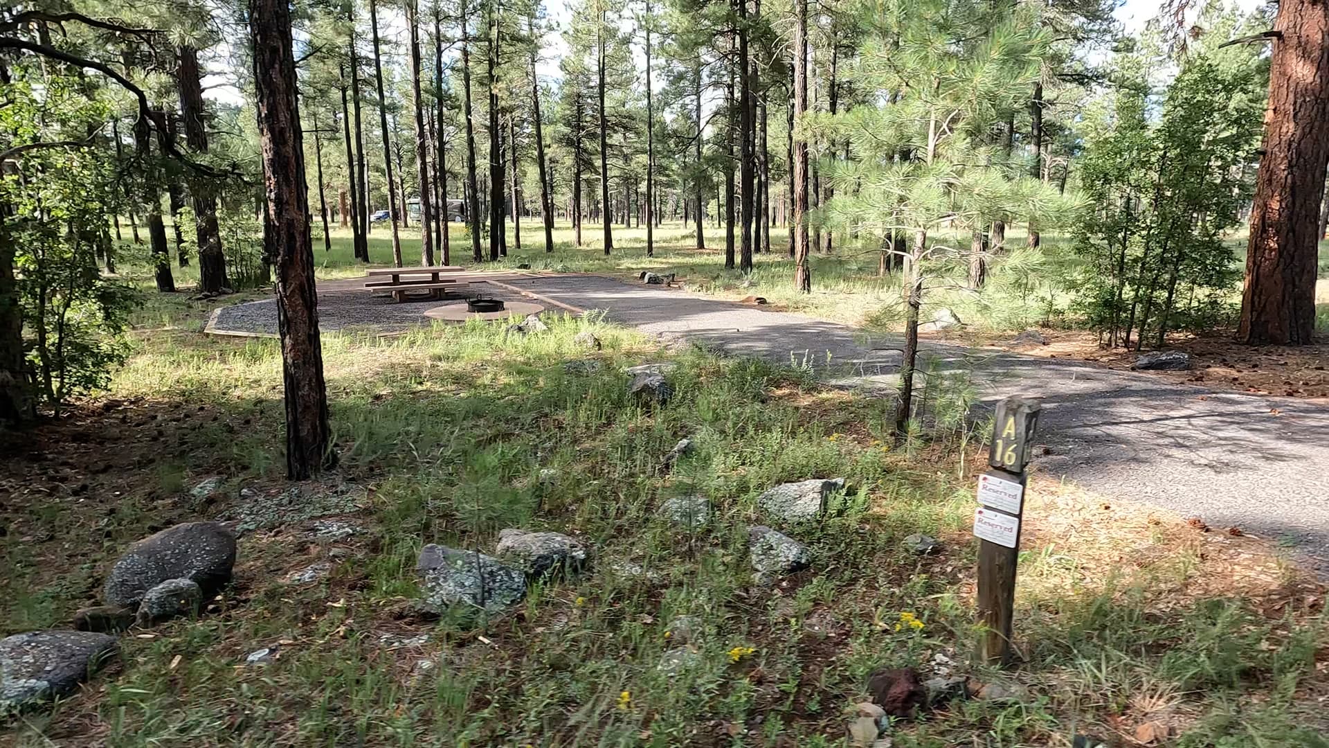 Site 16
