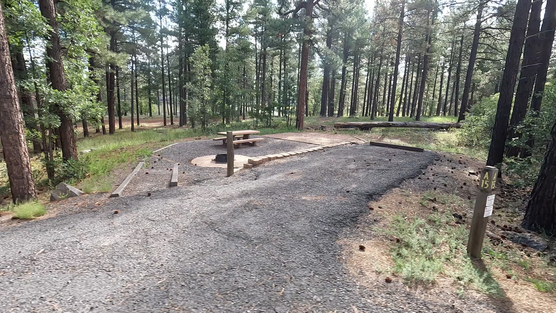 Site 15