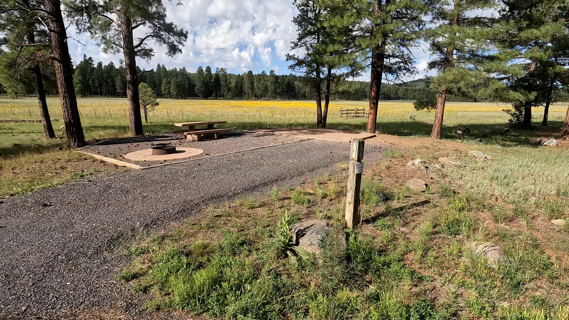 Site 4