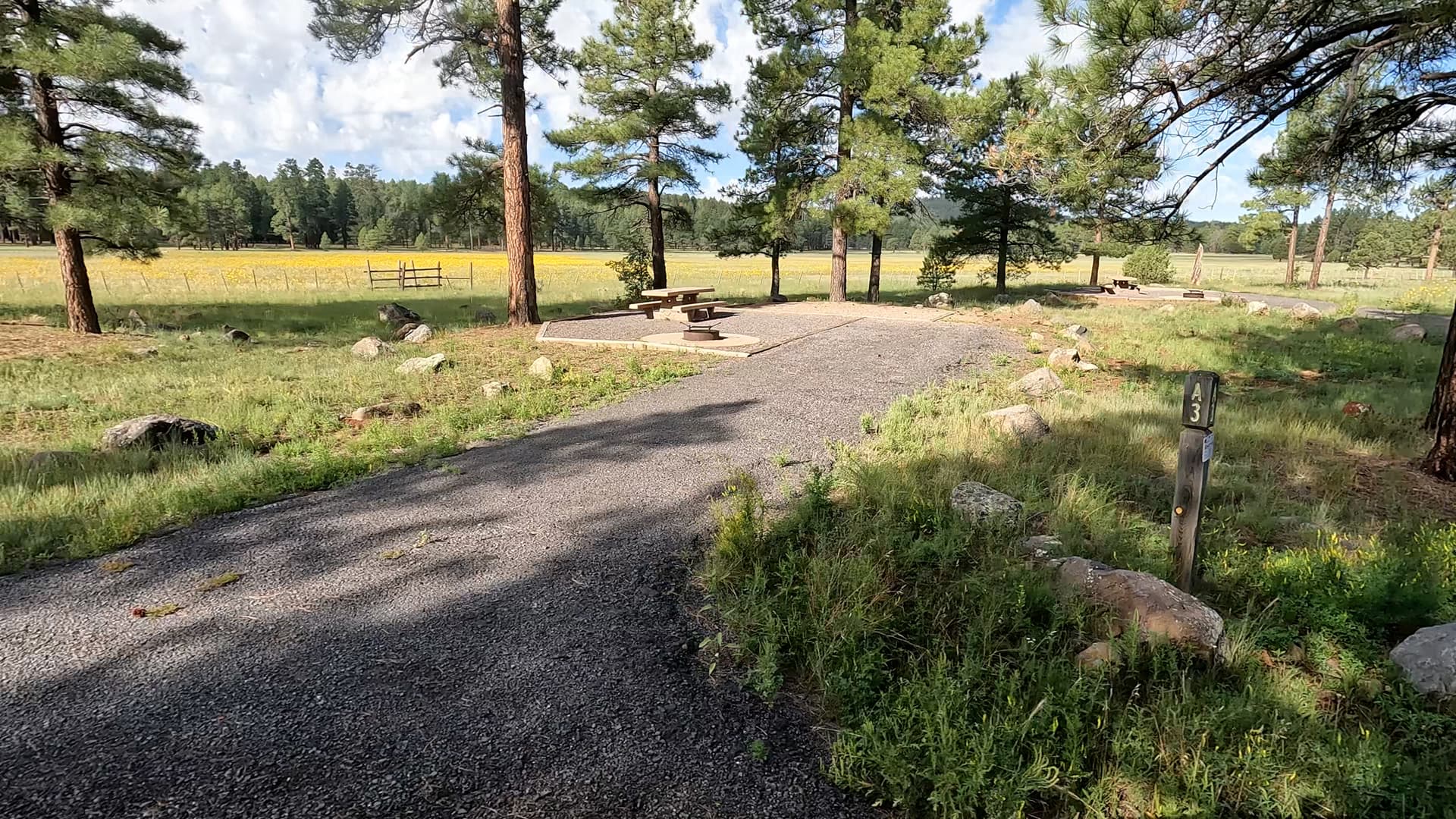 Site 3
