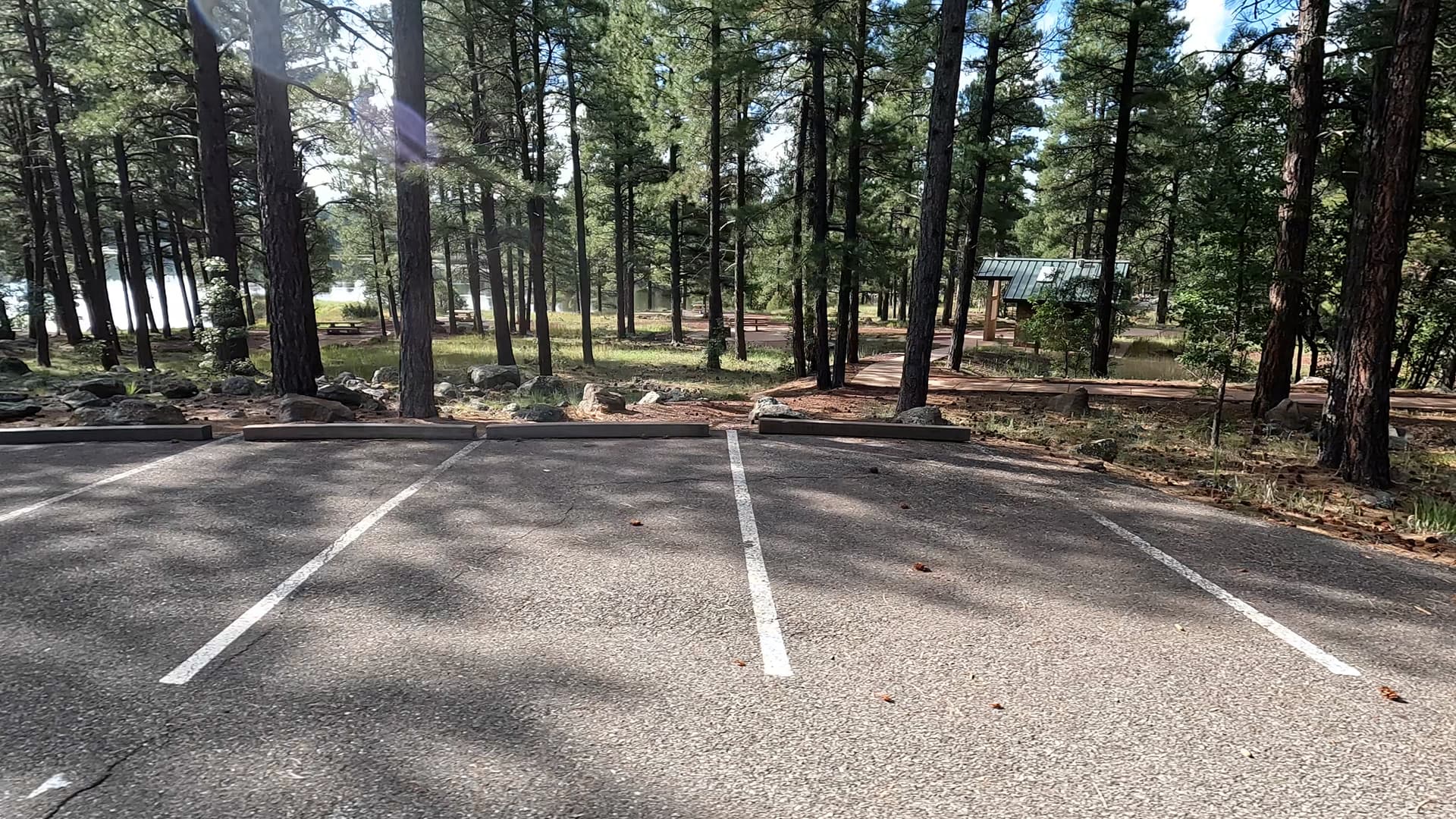 Site 55