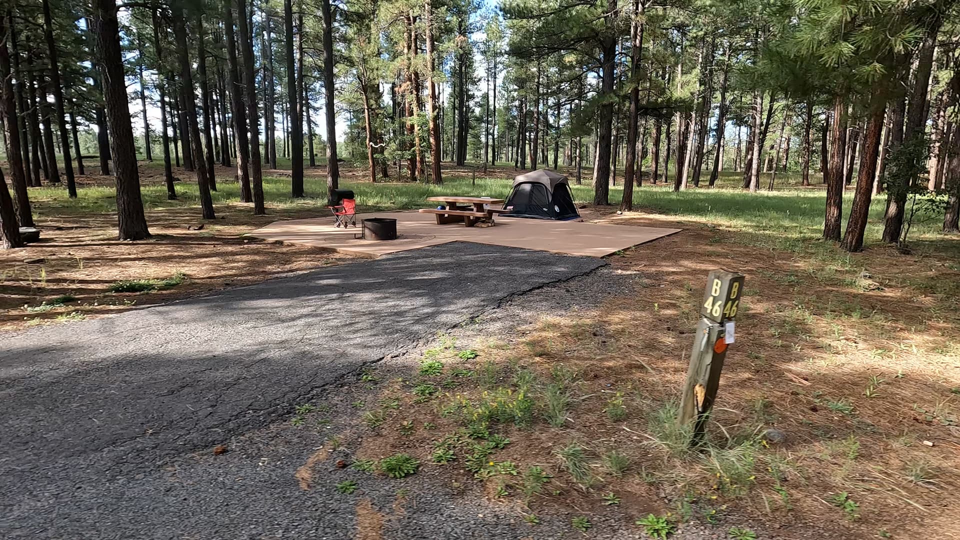Site 46