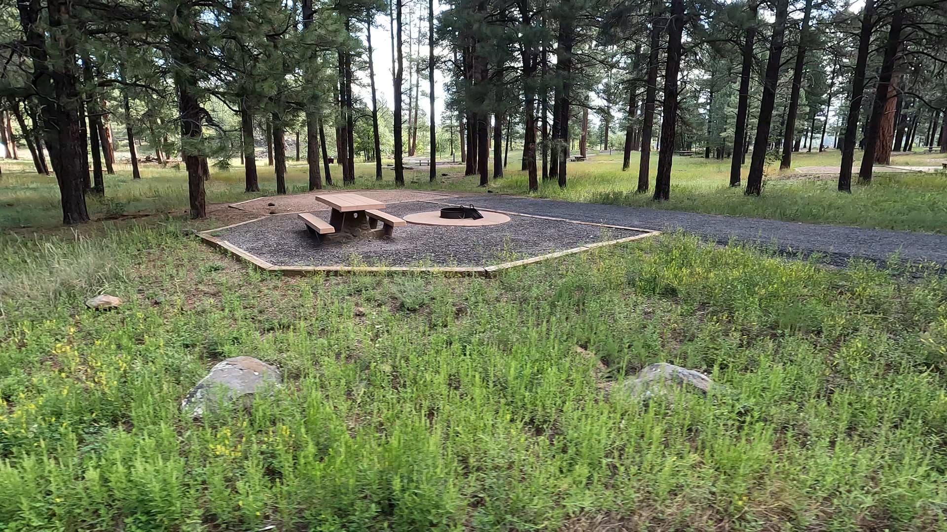 Site 44