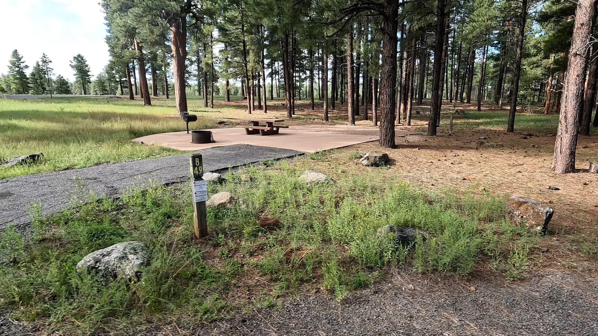 Site 49