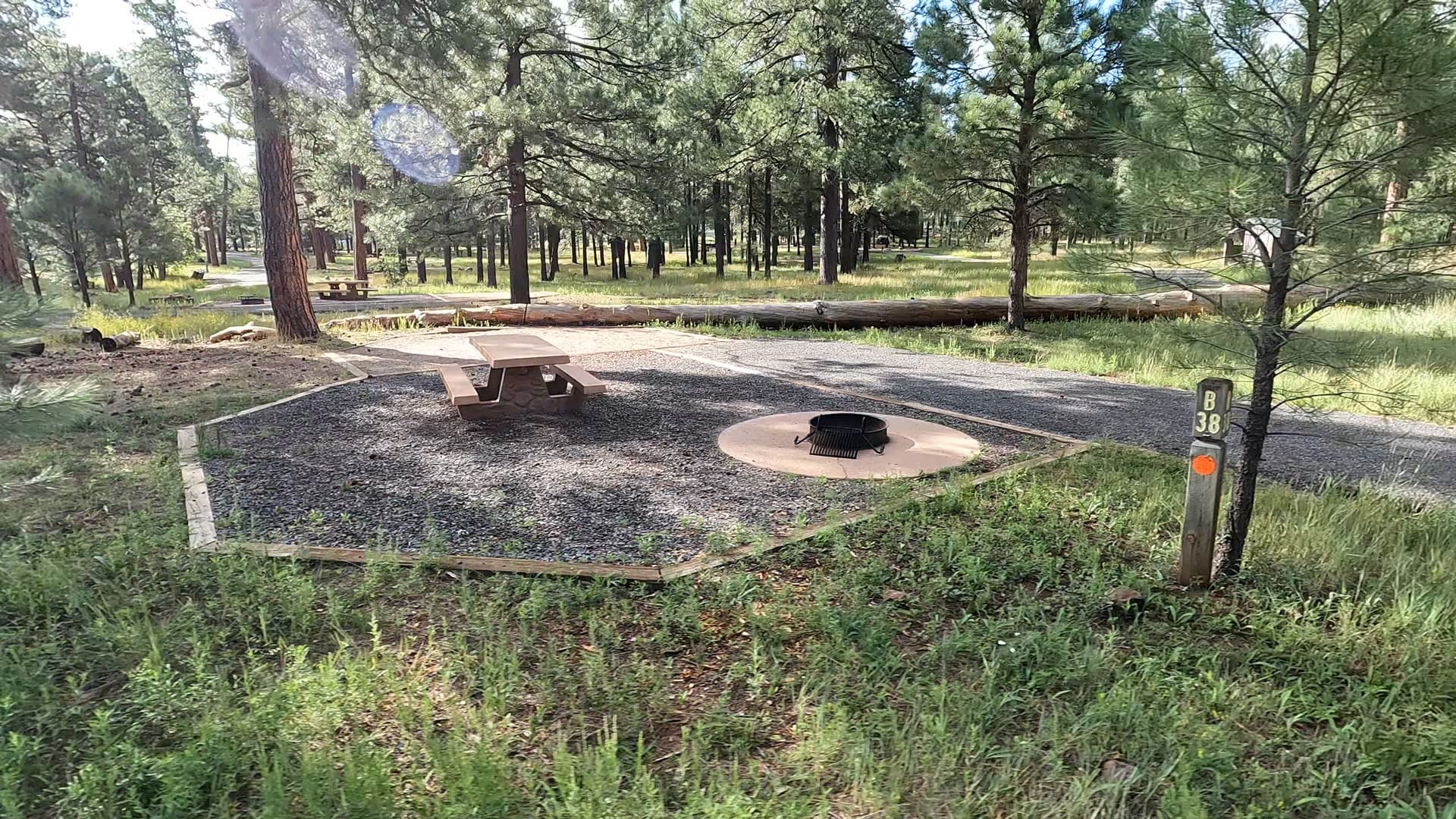 Site 38