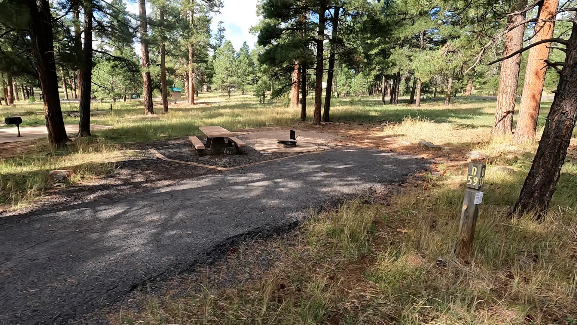 Site 59