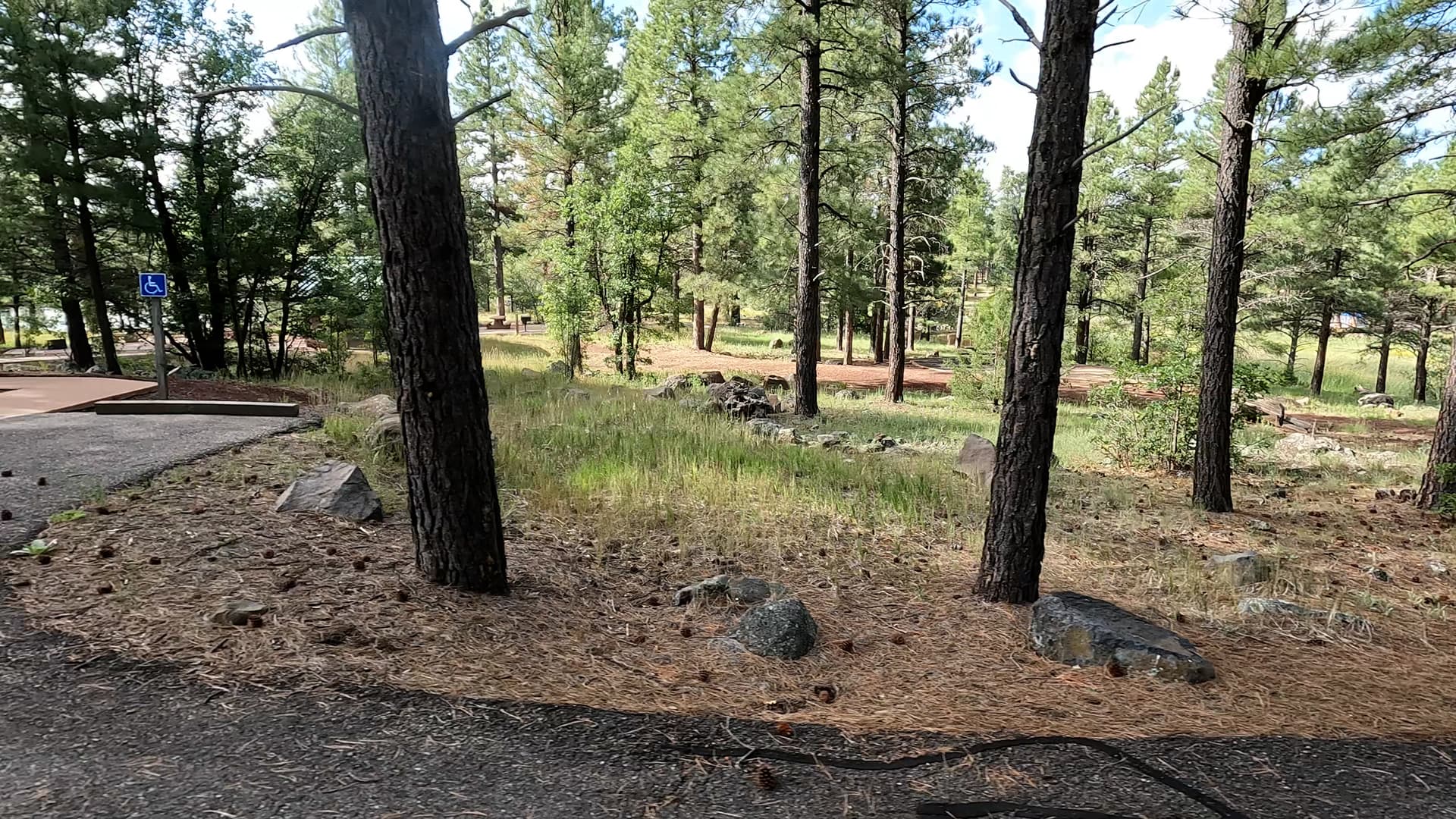 Site 53