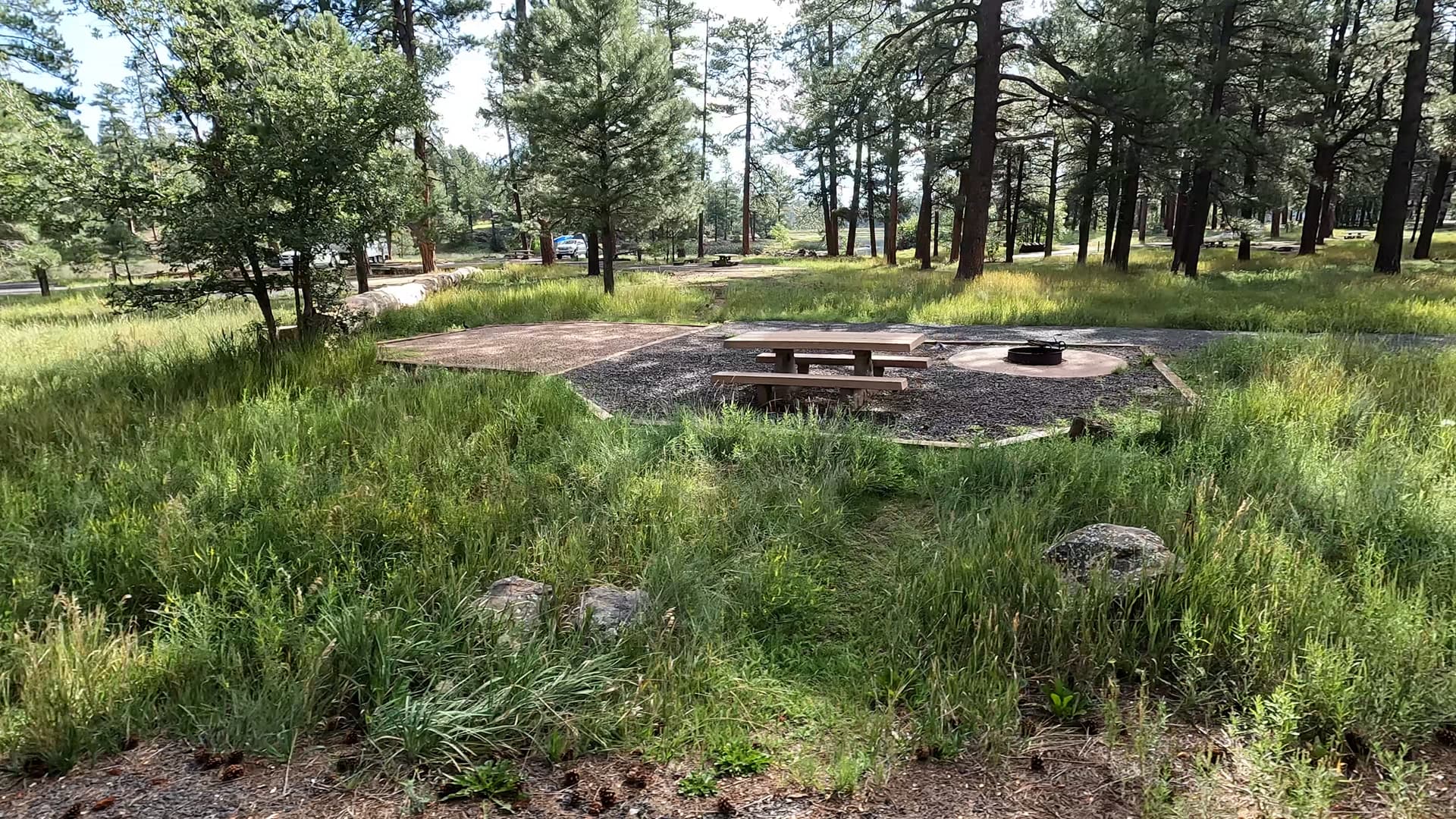 Site 43
