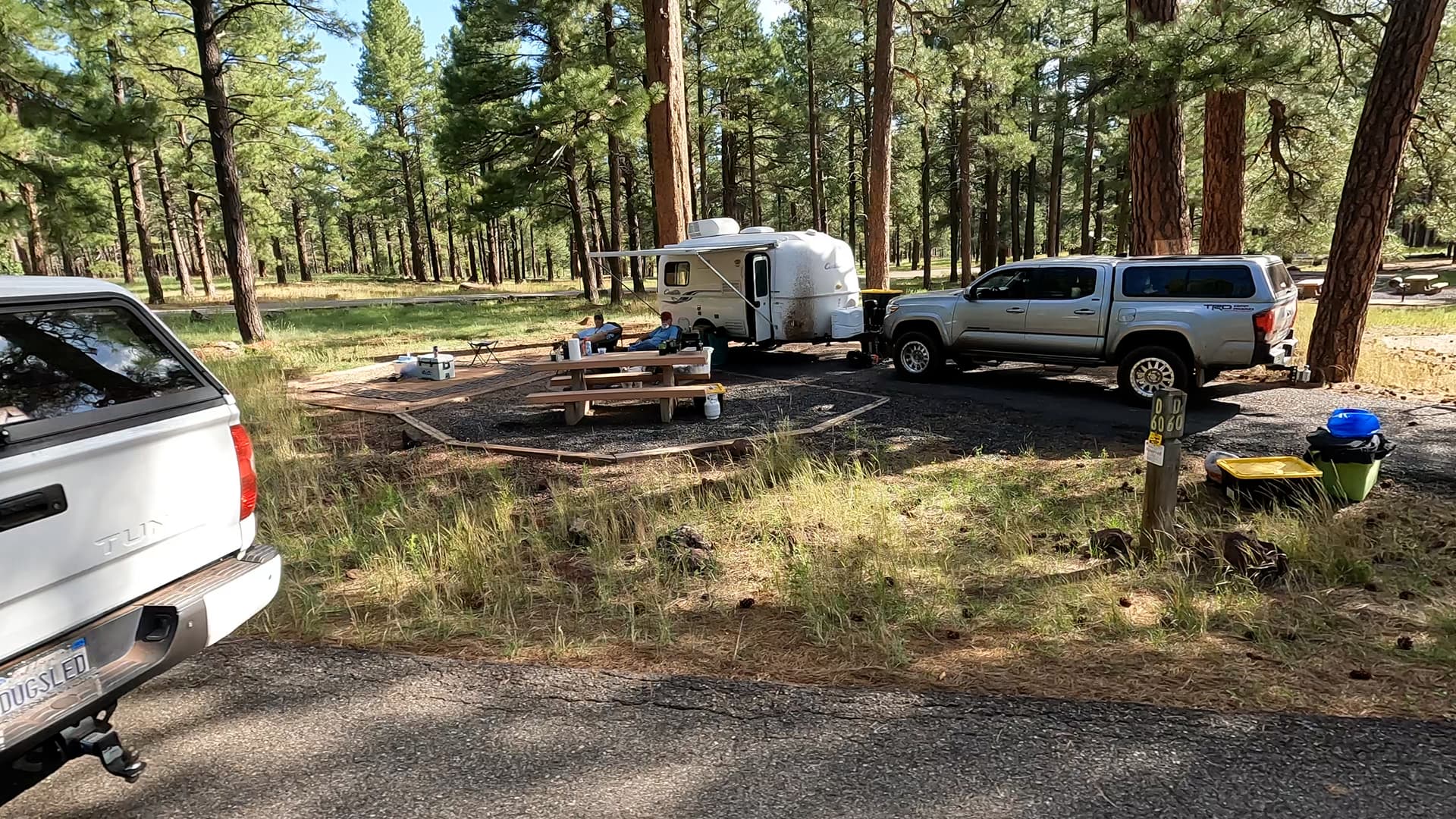 Site 60