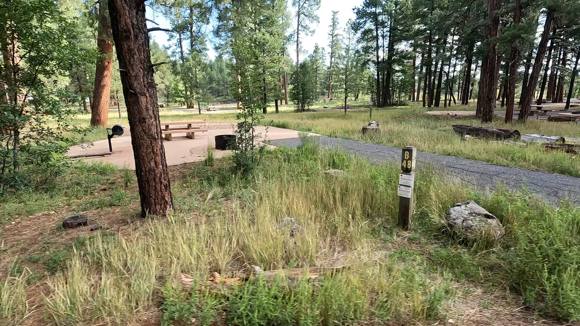 Site 48