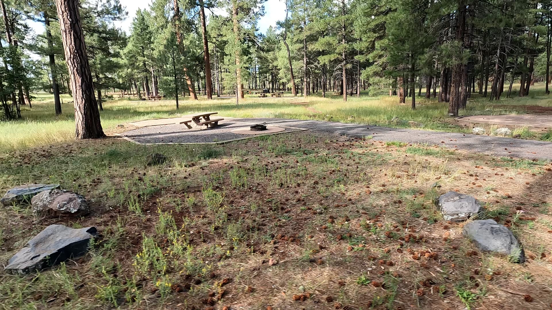 Site 31