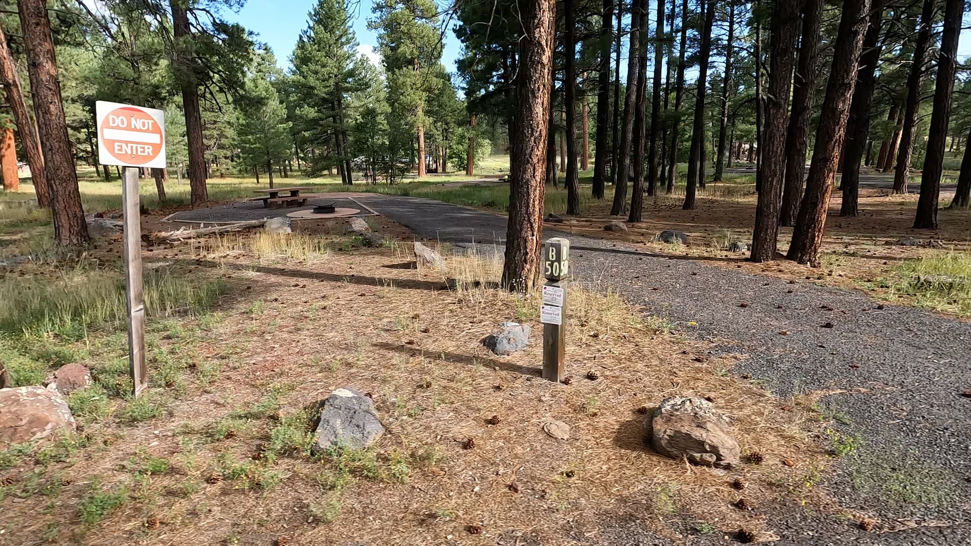 Site 50