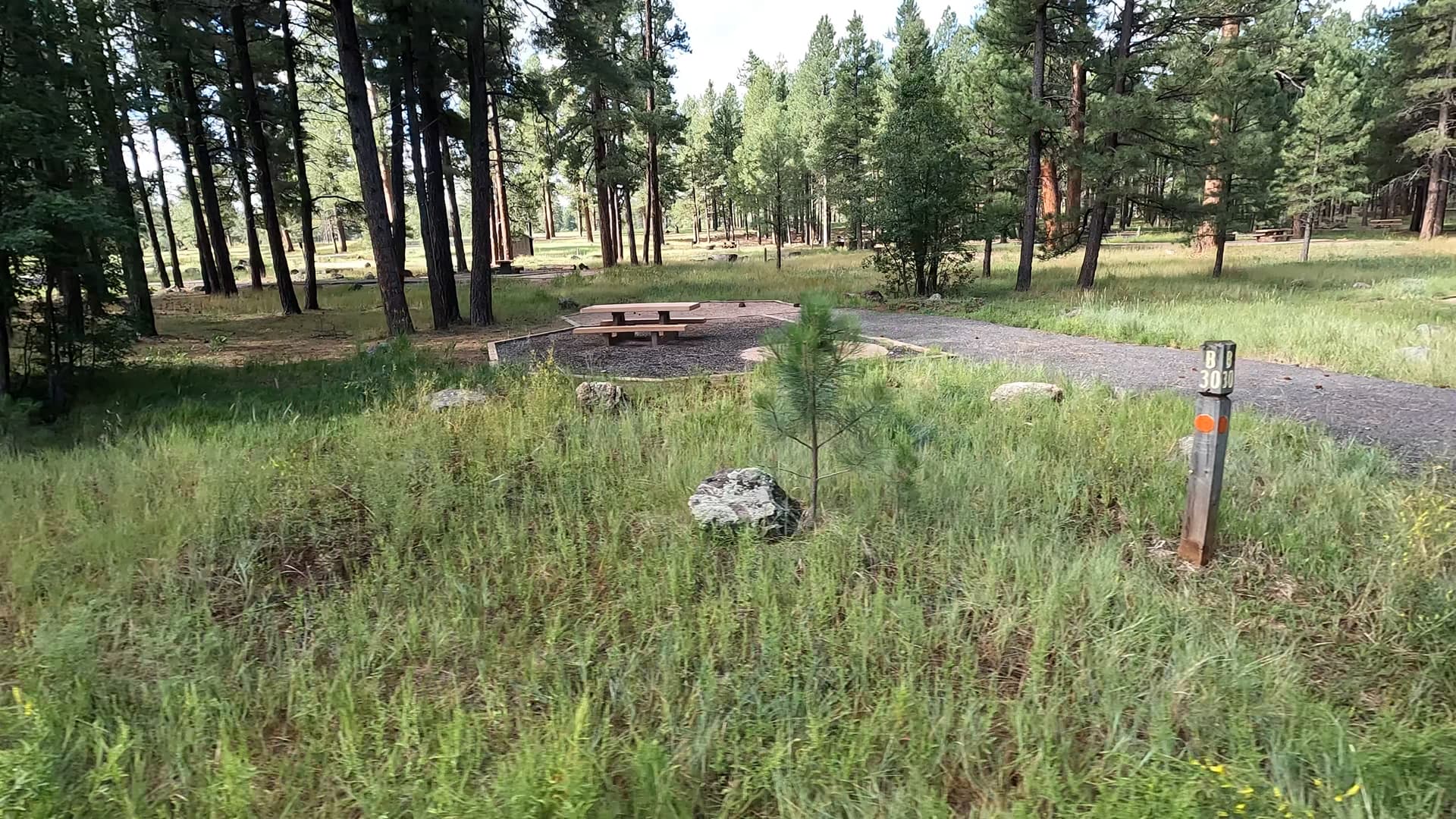 Site 30