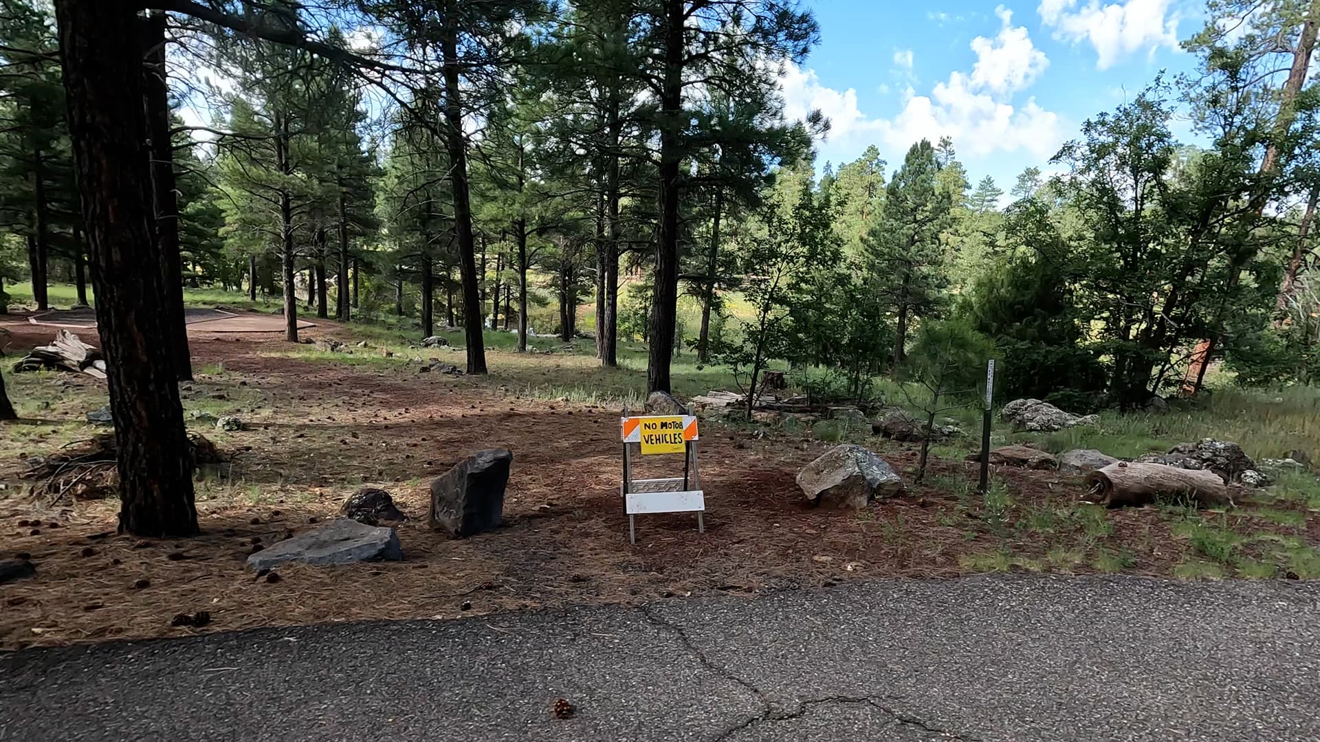 Site 51