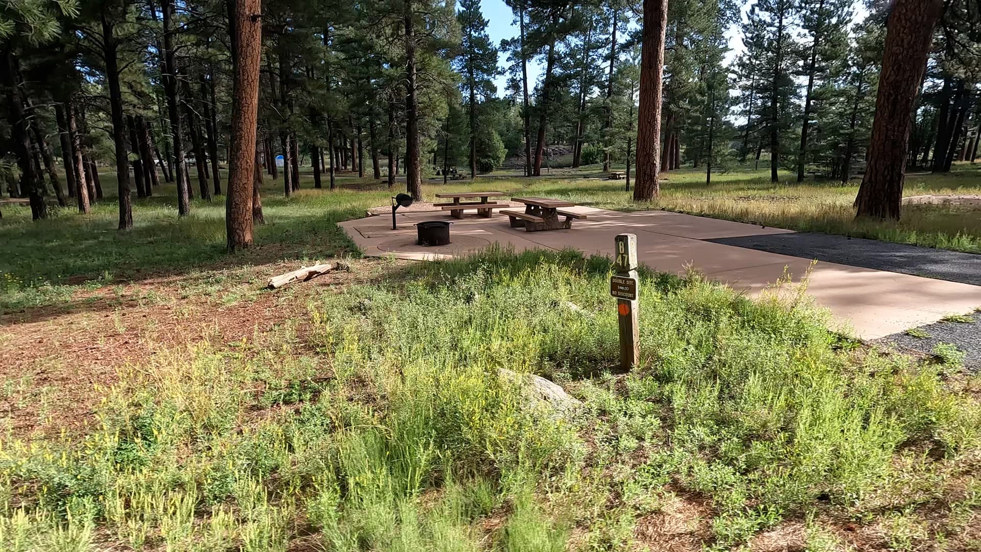 Site 47