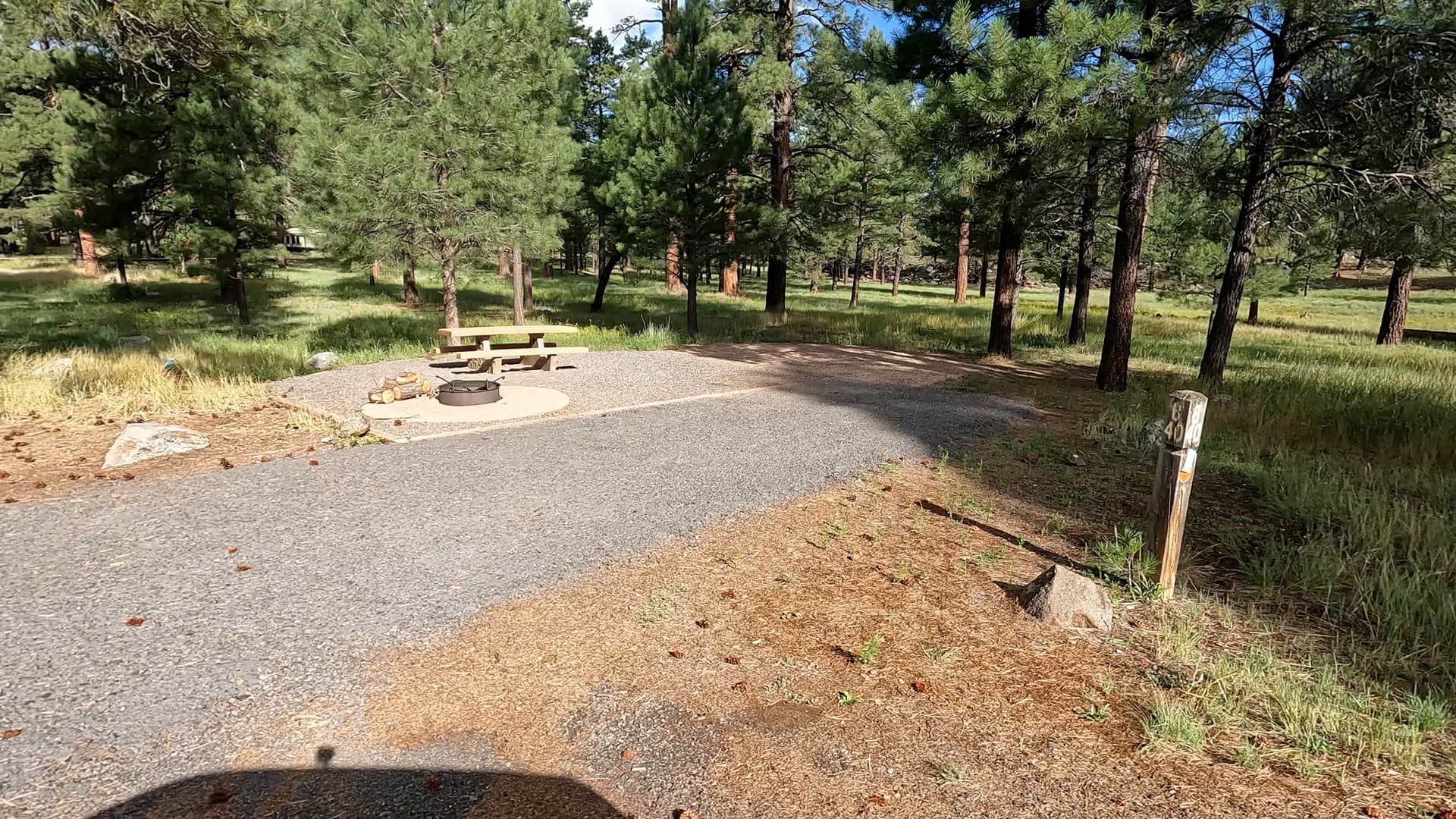 Site 40