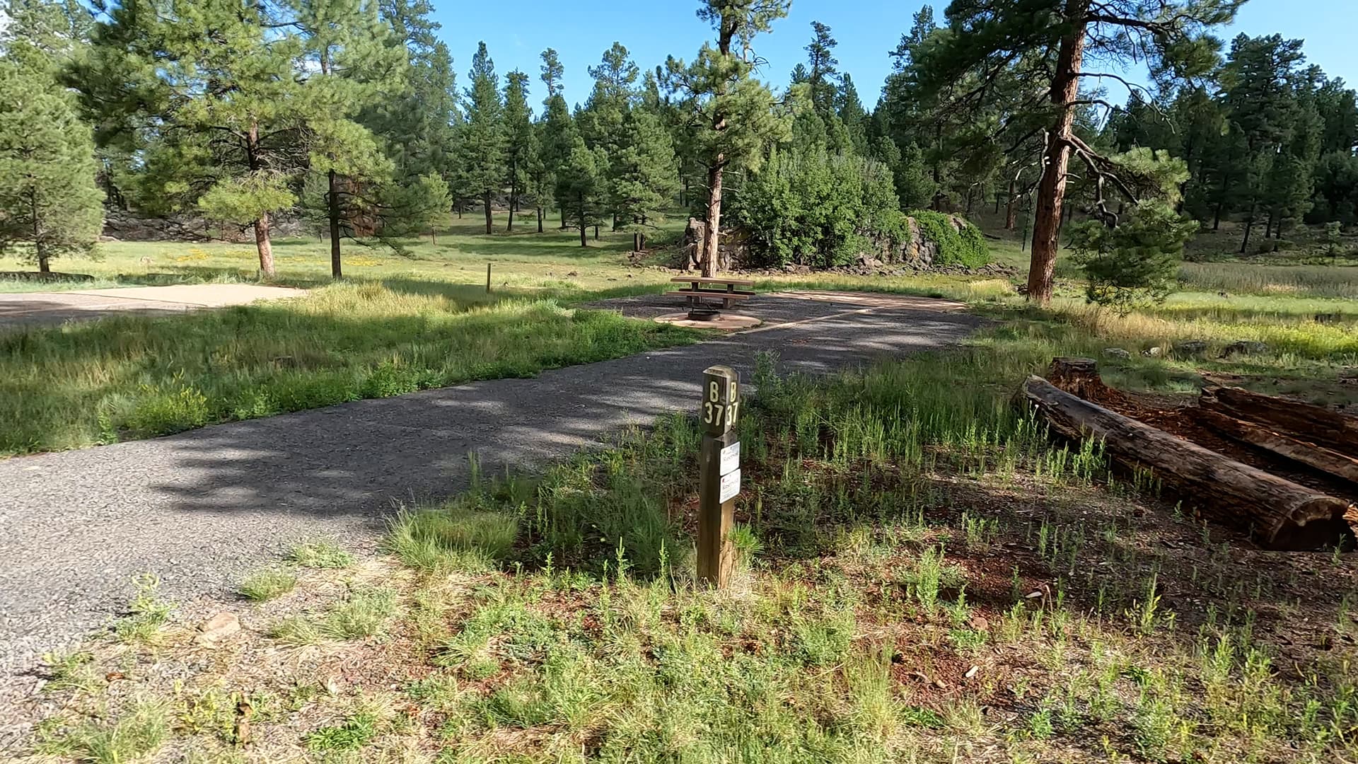Site 37