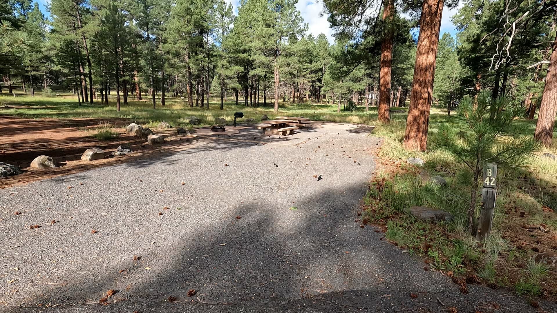Site 42