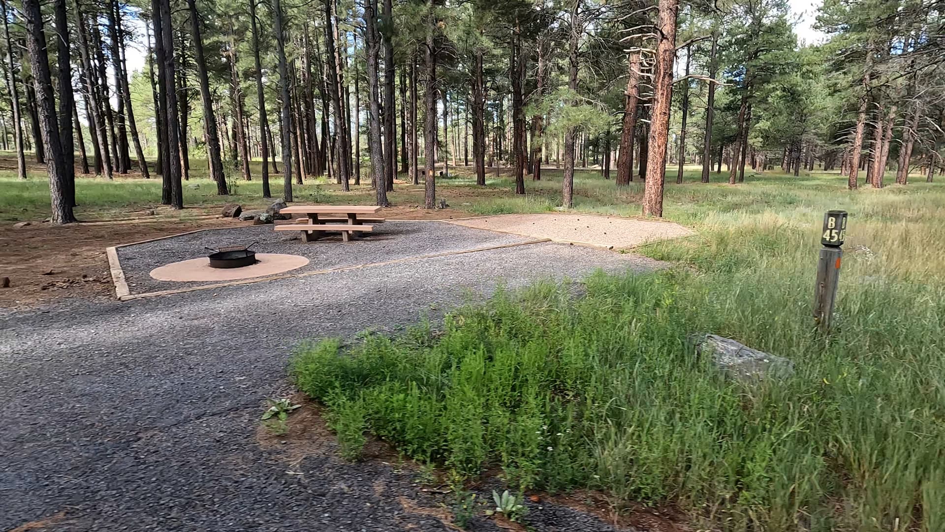 Site 45