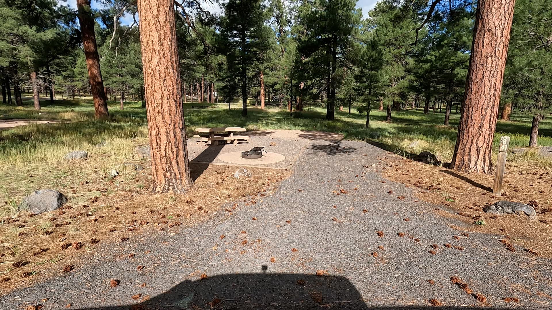 Site 41