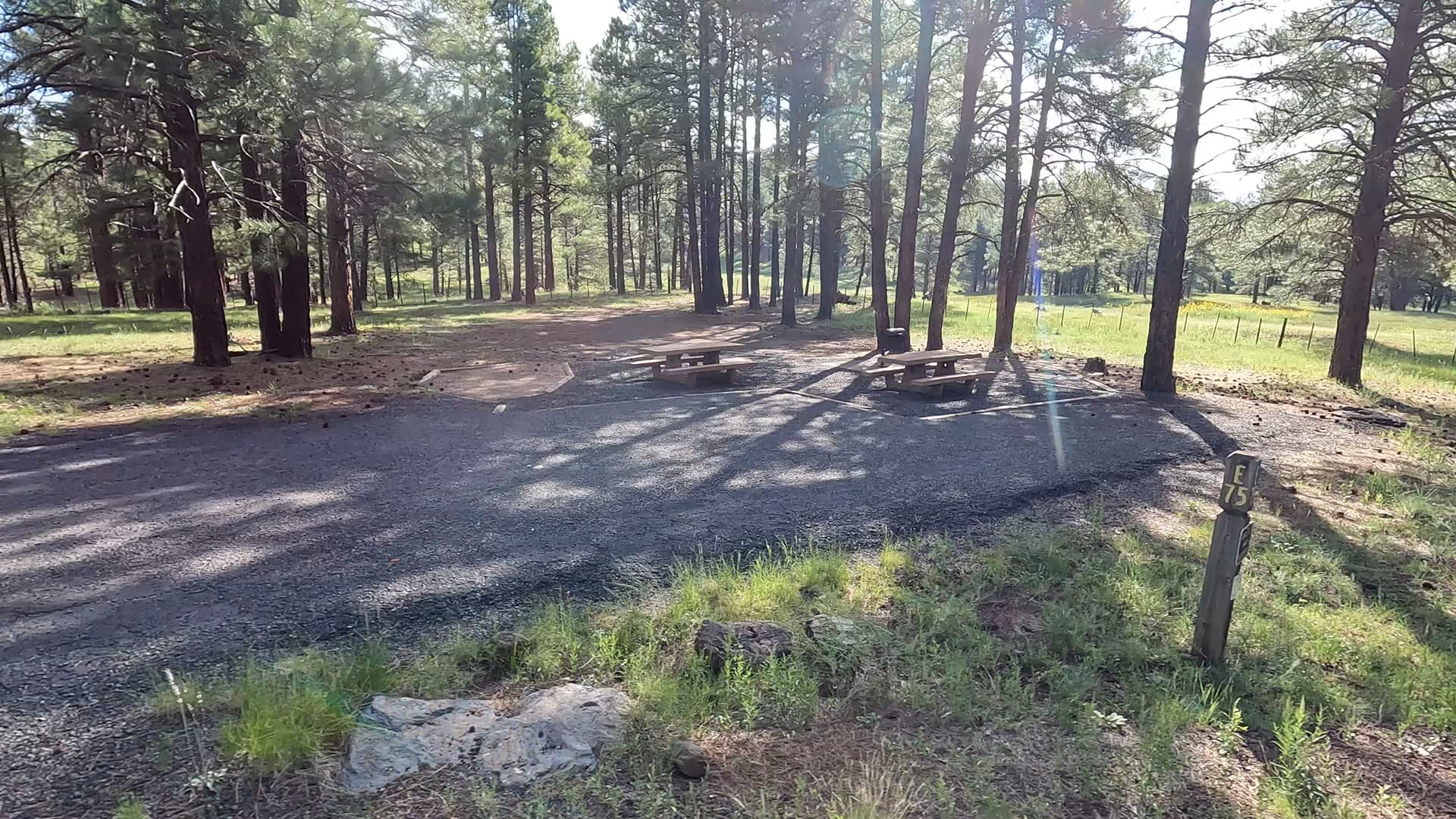 Site 75