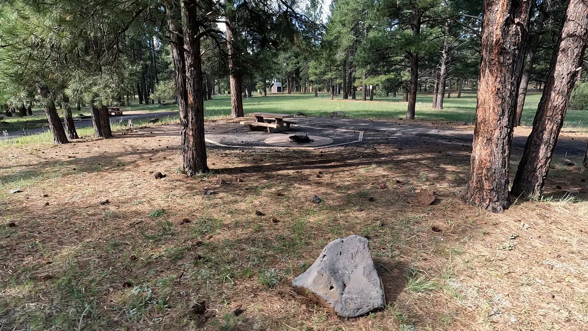 Site 79