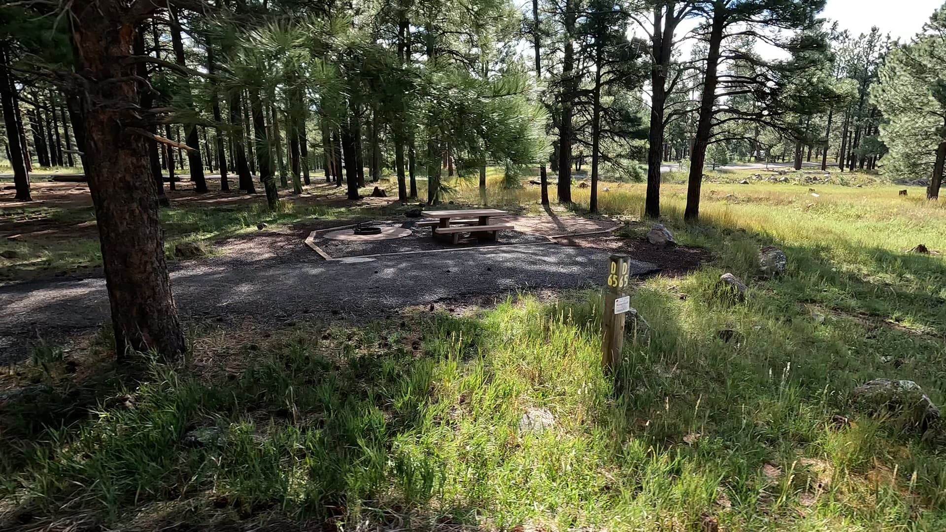 Site 65
