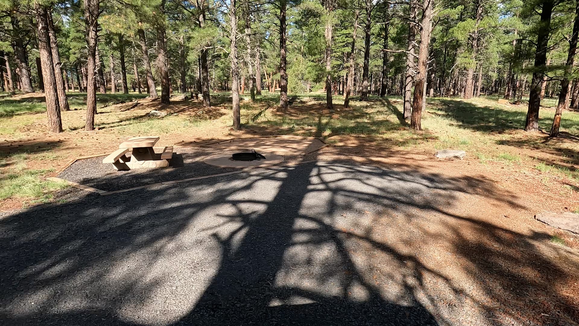 Site 85