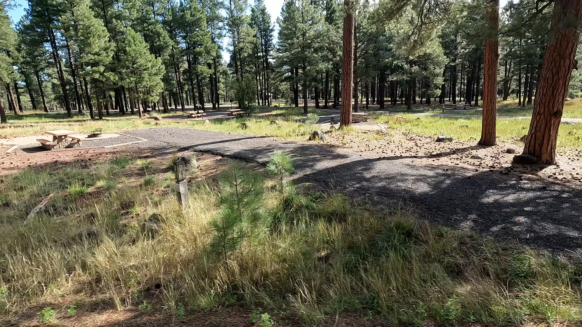 Site 62