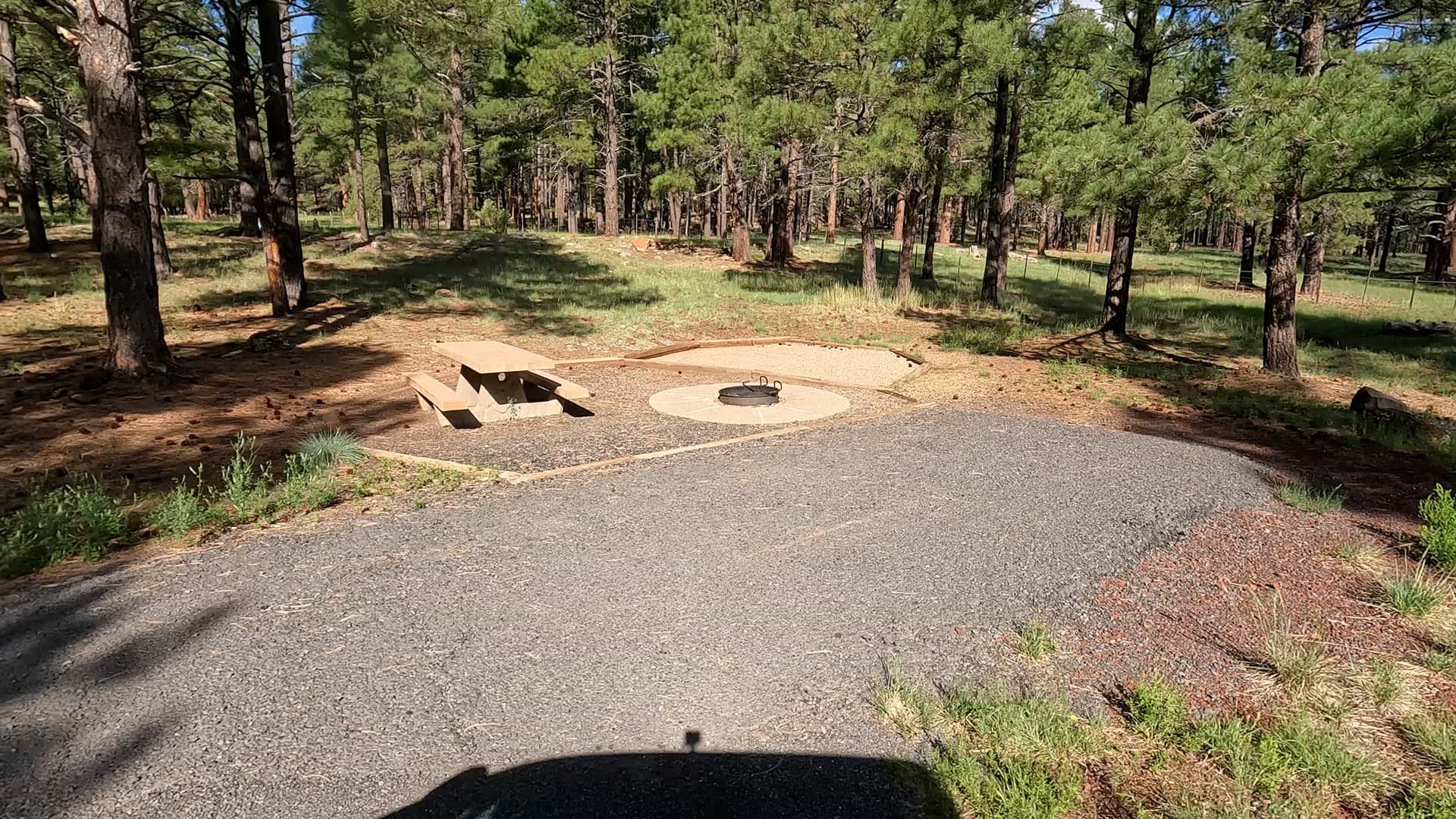 Site 84