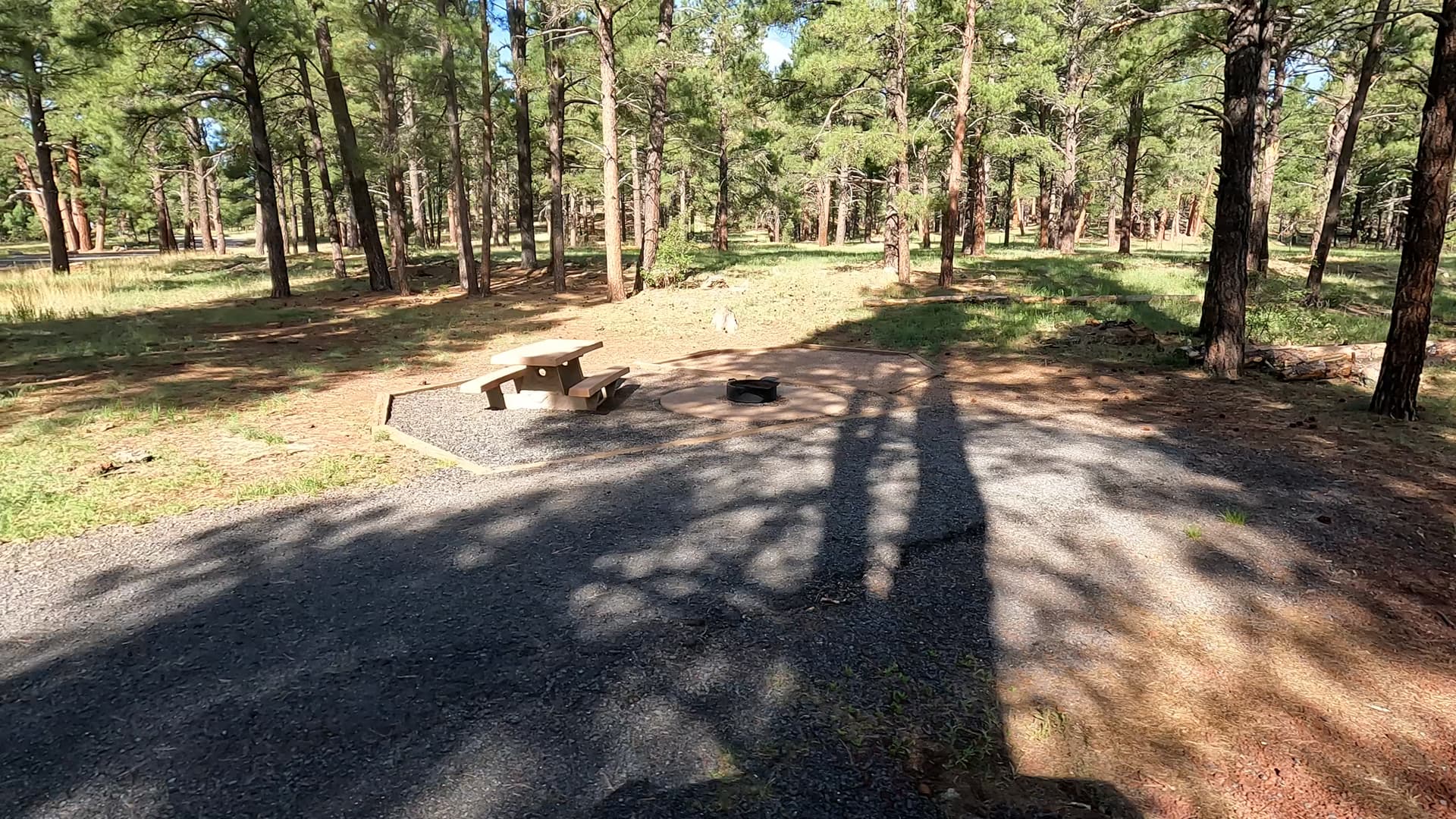 Site 87