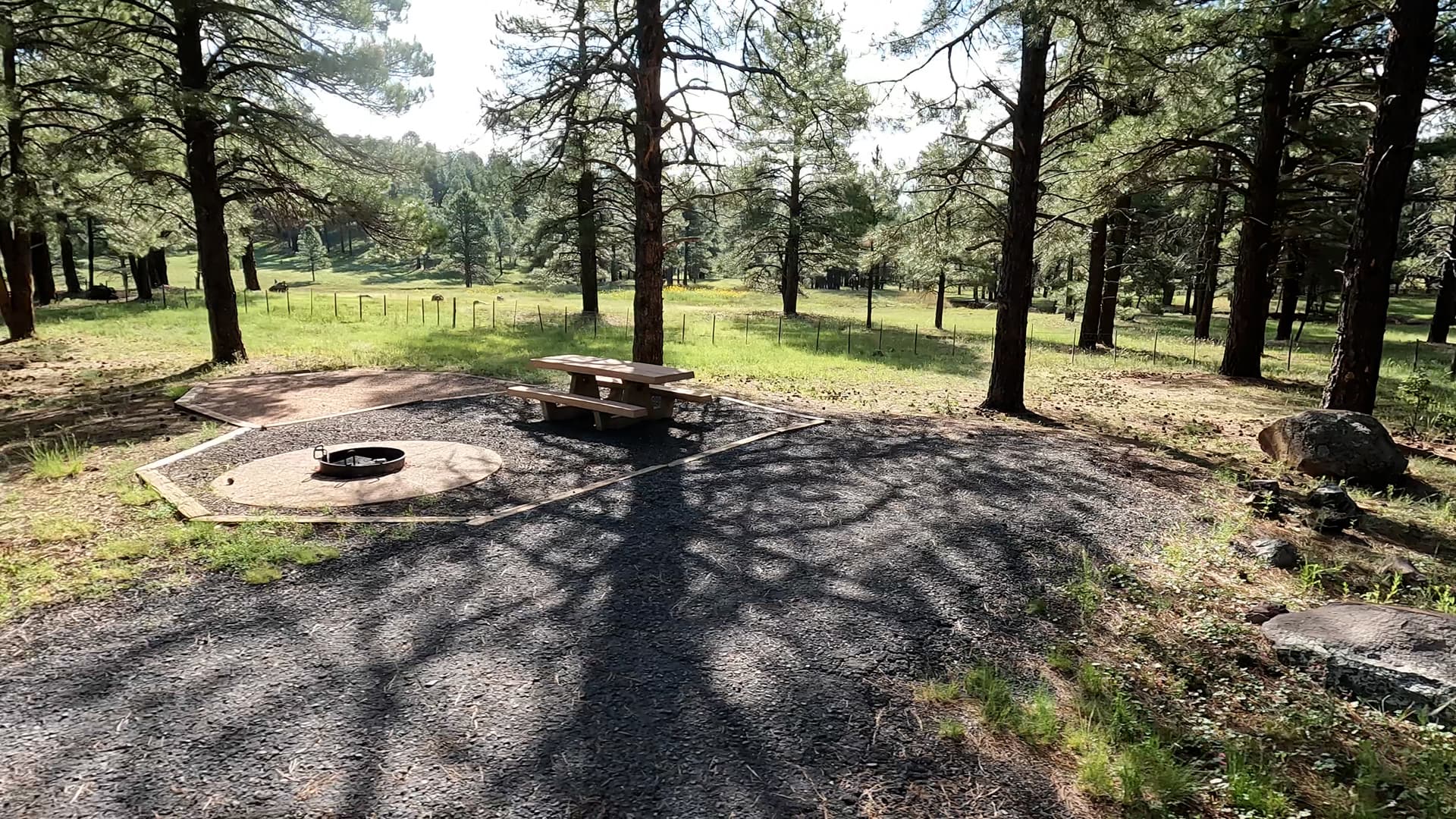 Site 74