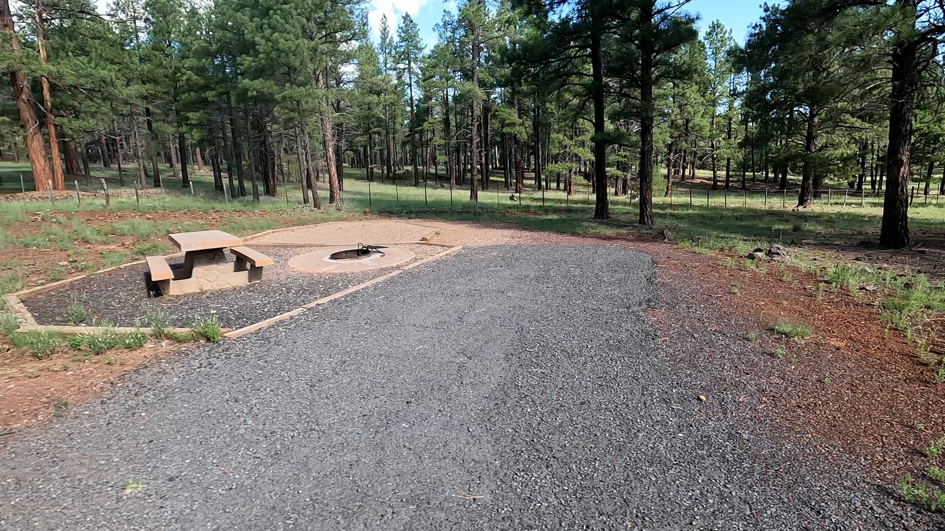Site 81
