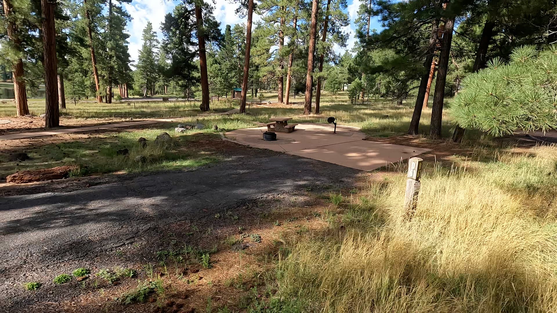 Site 61