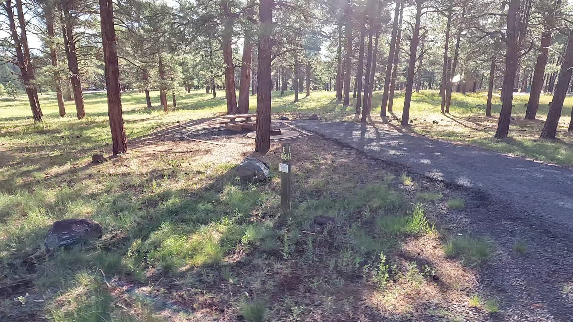 Site 86
