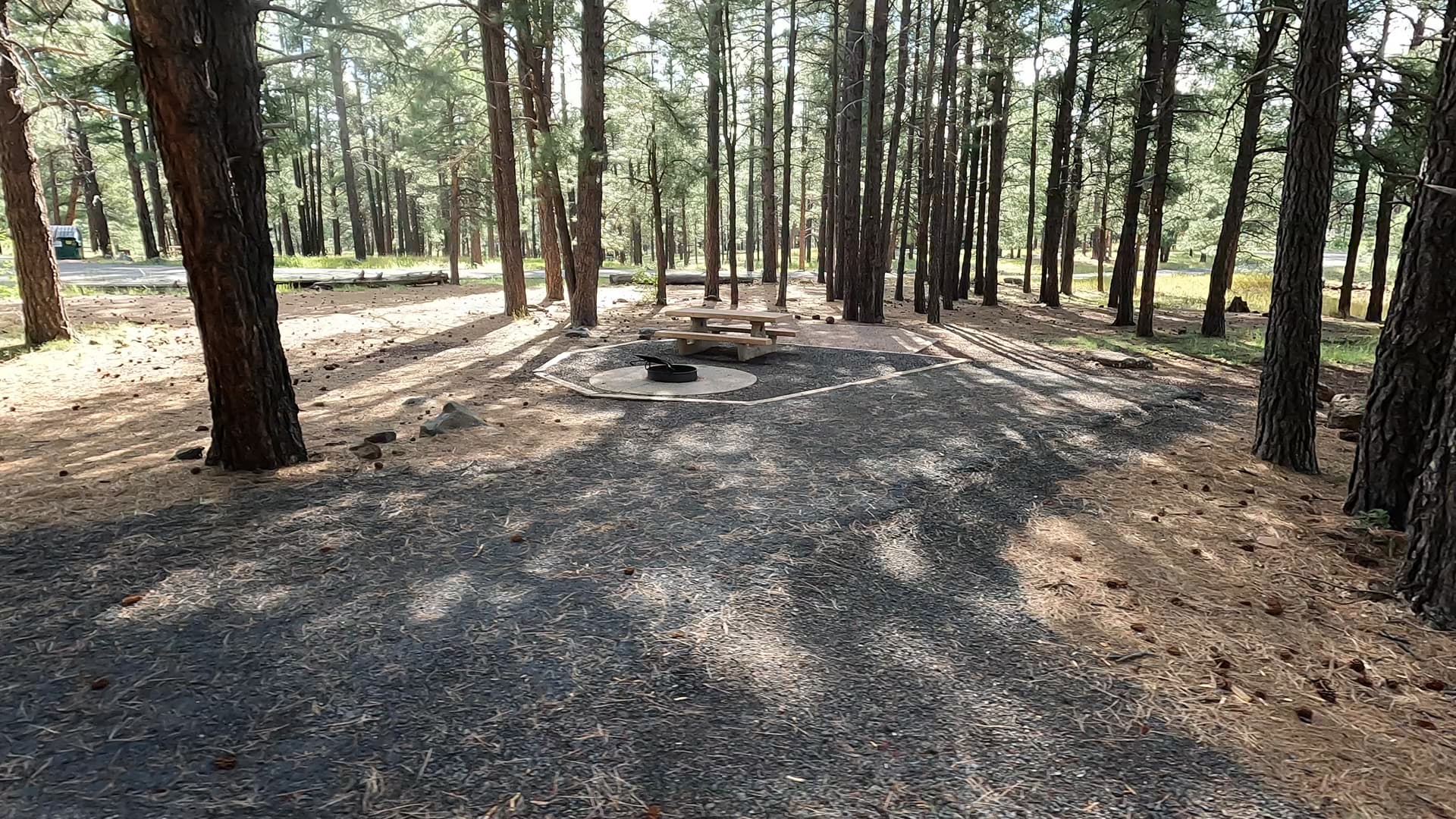 Site 67