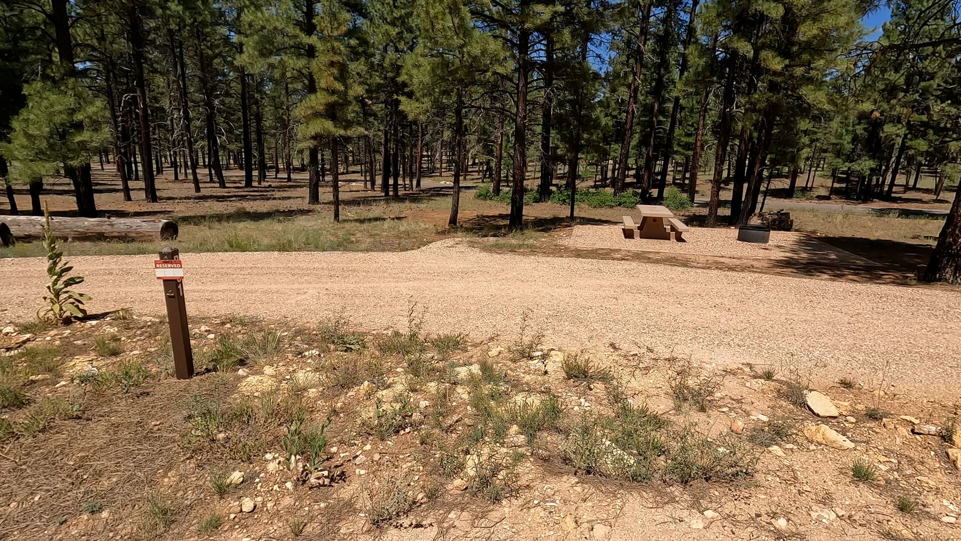 Site B1