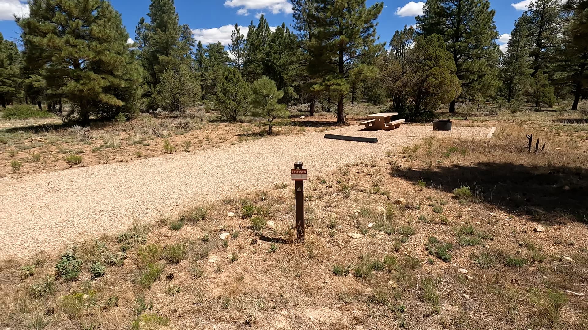 Site B31