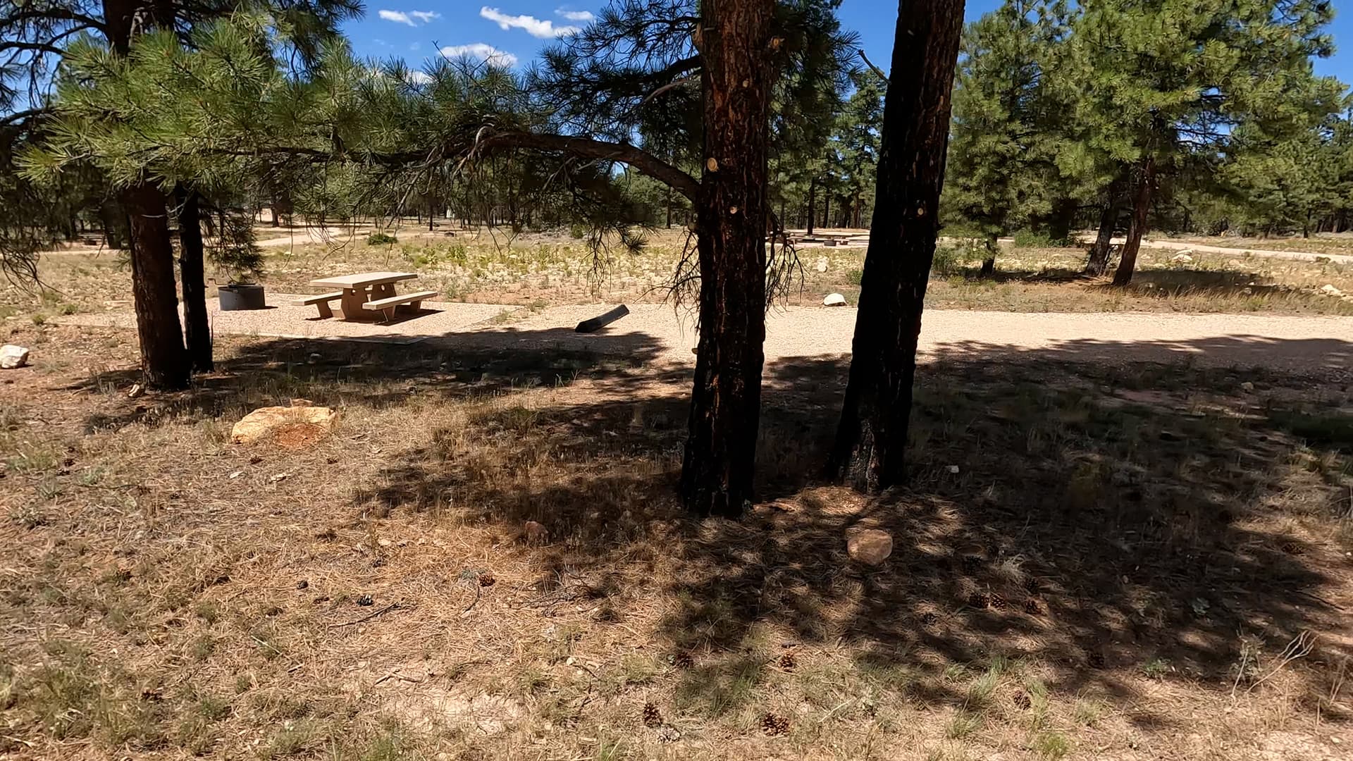 Site B30