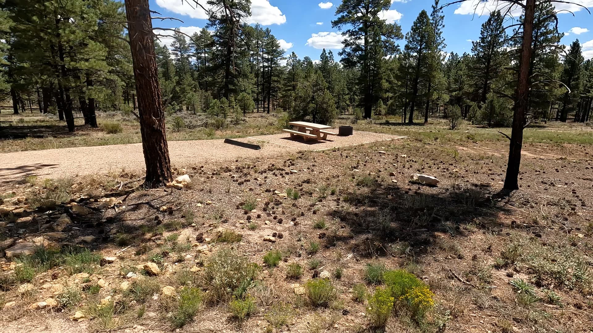 Site B19