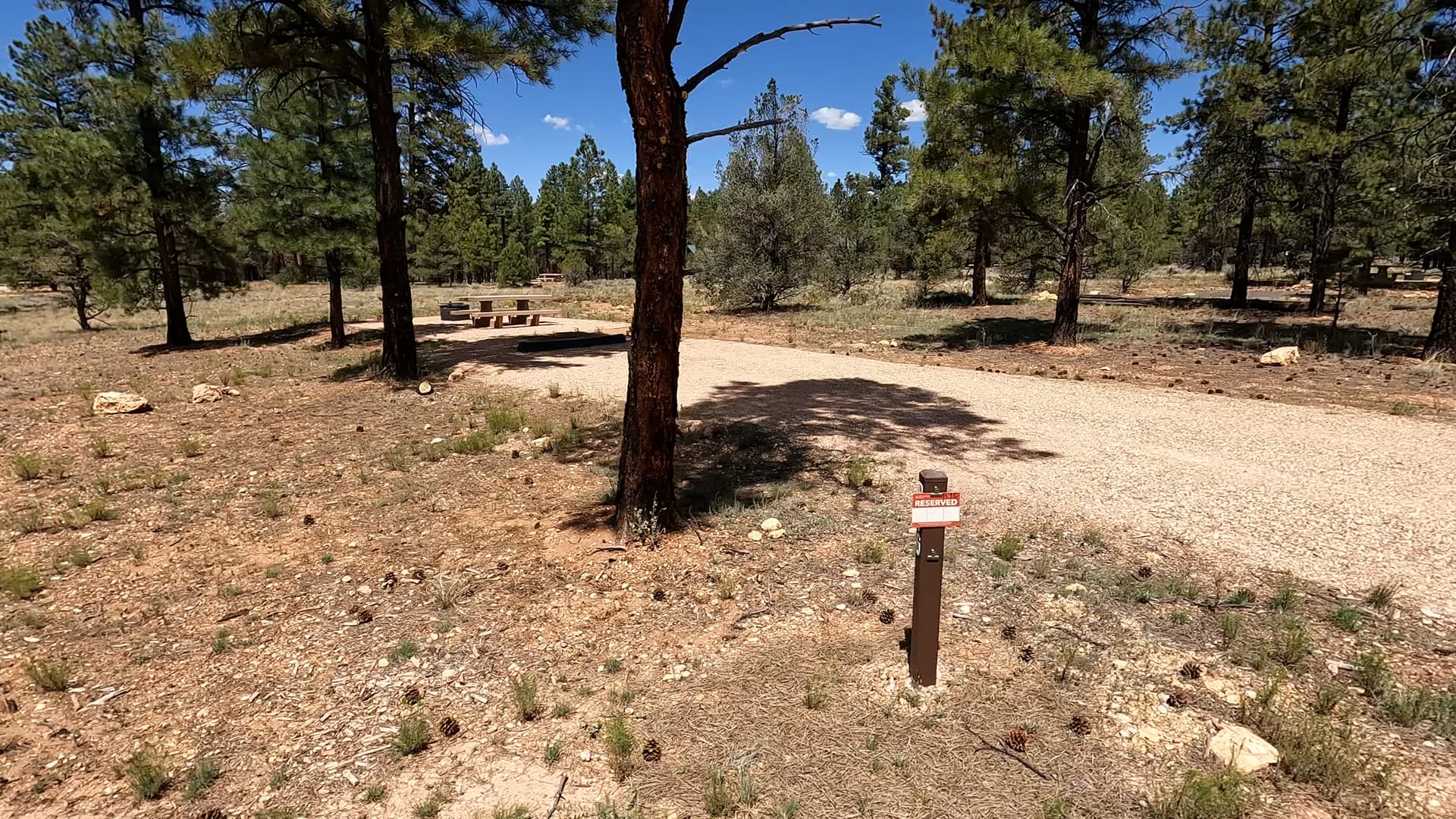 Site B16